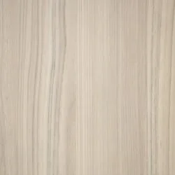 Soft Elm