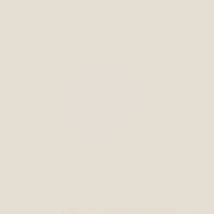Sea Shell Acrilam decorative surface